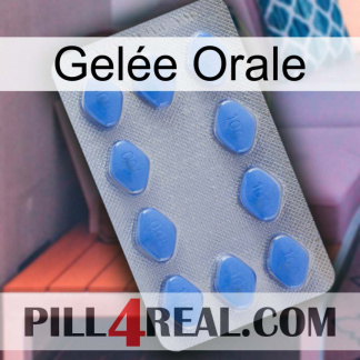 Gelée Orale 21